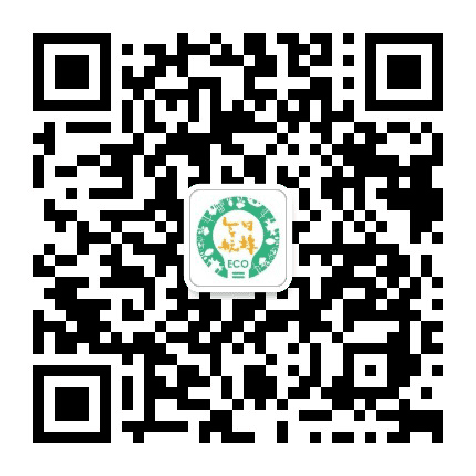 今日航埠公众号二维码