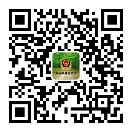 东京城林业地区公安局公众号二维码