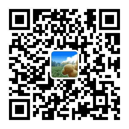 葛家岔政务公众号二维码