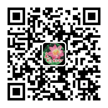 高明城市管理公众号二维码