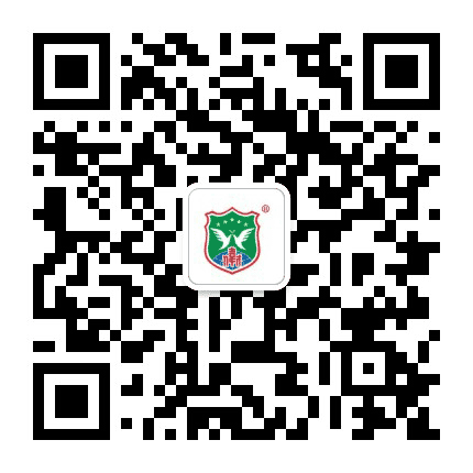 陈村镇伟才国际幼儿园公众号二维码