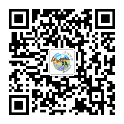 金昌消防公众号二维码