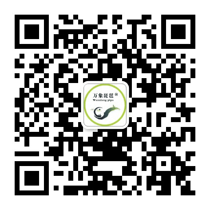 甘肃陇南武都琵琶公众号二维码