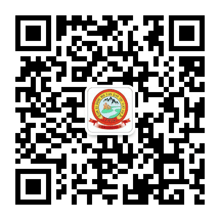 甘肃省文县桥头小学公众号二维码
