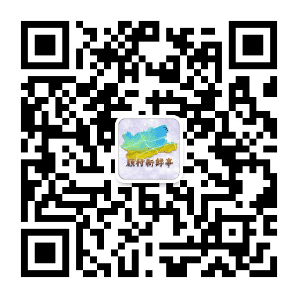 顾村新鲜事公众号二维码