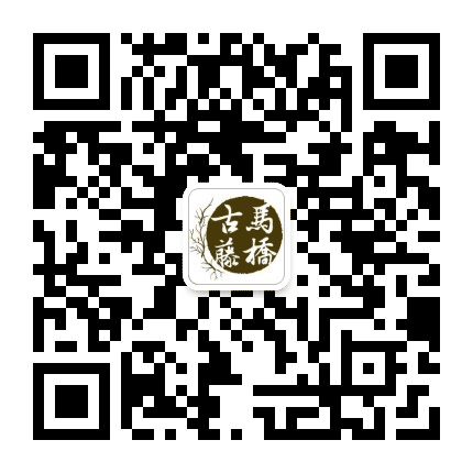 古藤马桥公众号二维码