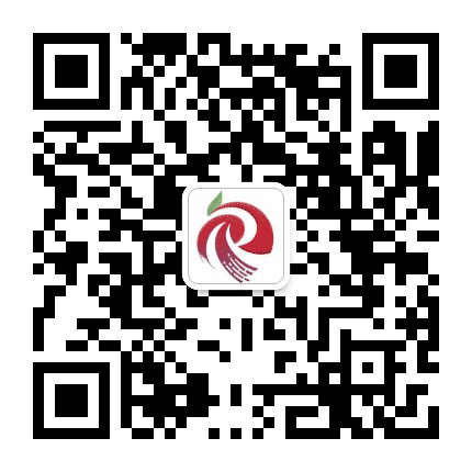 广州从化发布公众号二维码