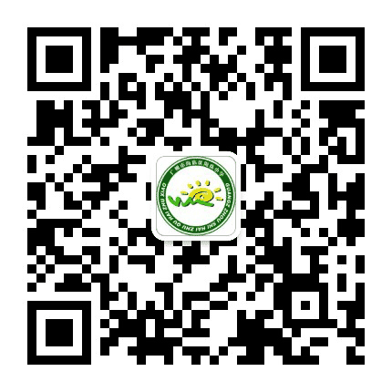广州市海珠区海珠小学公众号二维码