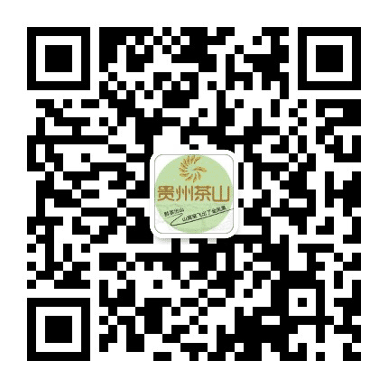贵州茶山公众号二维码