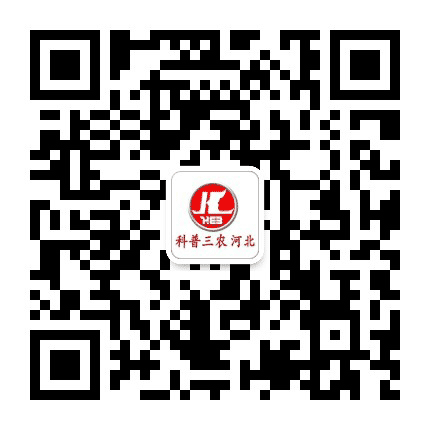 河北科技报公众号二维码