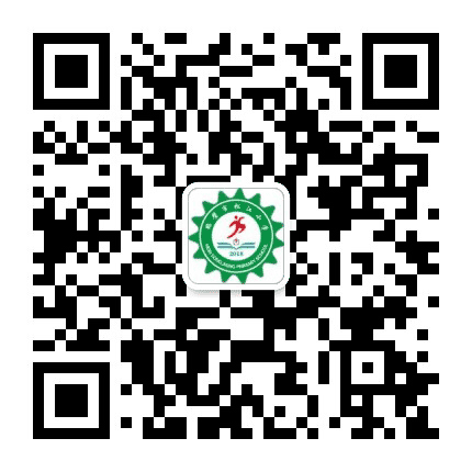 鹤壁市松江小学公众号二维码