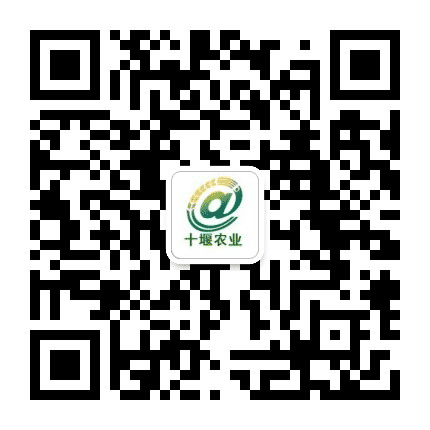 十堰农业公众号二维码