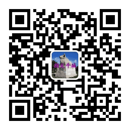 指尖牛城公众号二维码