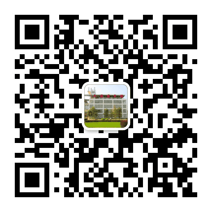 河池市民族图书馆公众号二维码