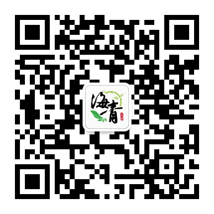 绿茶小镇海青公众号二维码