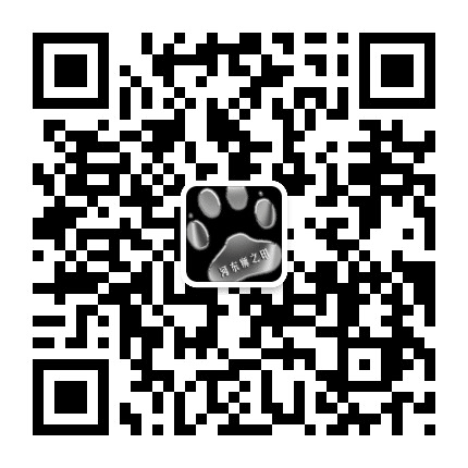 汕头河东狮二手车公众号二维码