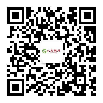 大美鹤岗公众号二维码