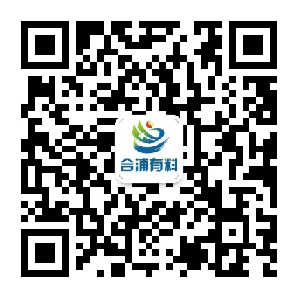 合浦有料公众号二维码