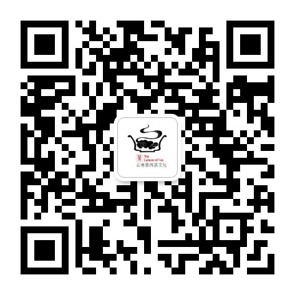 云南普洱茶文化公众号二维码