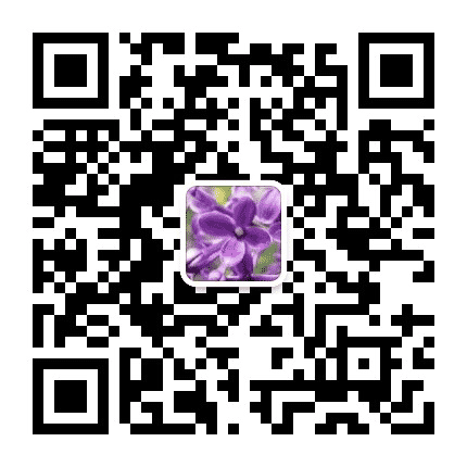 情定紫丁香公众号二维码