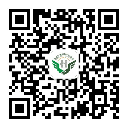 黑龙江省桦树产业协会公众号二维码