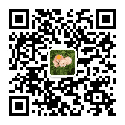 中公黑龙江教师招聘信息港公众号二维码