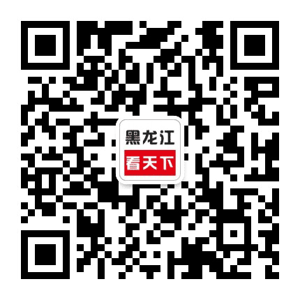 黑龙江看天下公众号二维码