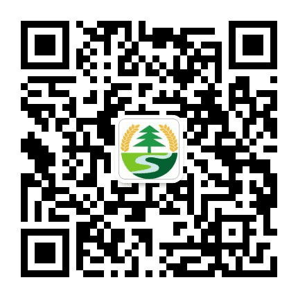 伊春森工双丰林业局有限责任公司公众号二维码