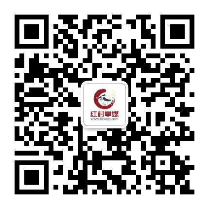 红村掌媒公众号二维码