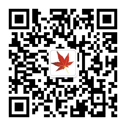 红花枫叶公众号二维码