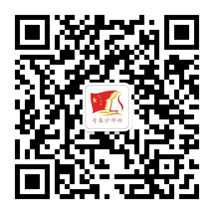 沙坪坝团区委公众号二维码