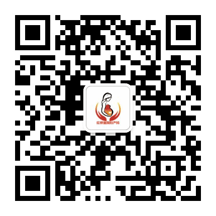 红桥爱婴公众号二维码