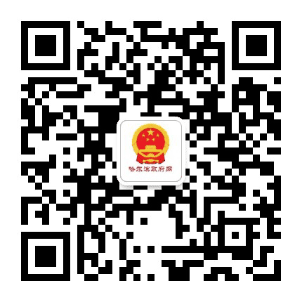 哈尔滨市政府网公众号二维码