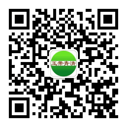 玉带青清公众号二维码