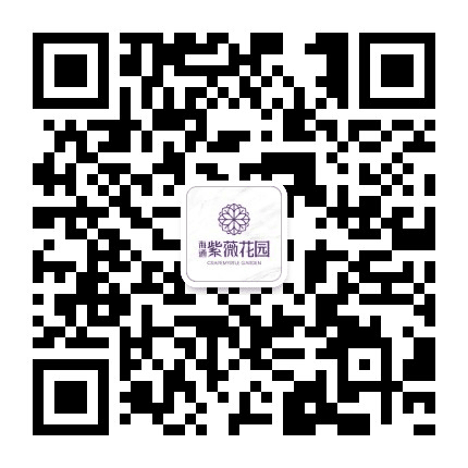 海通紫薇花园公众号二维码