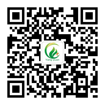 洋源母婴公众号二维码
