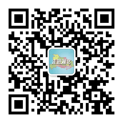 走进湖北公众号二维码