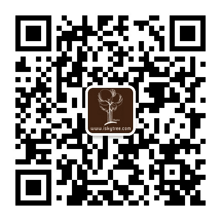 望天树旅游规划设计公众号二维码