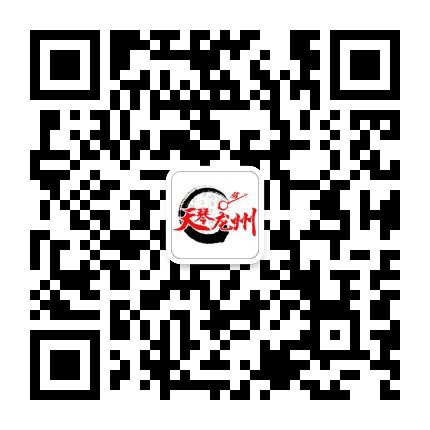 天琴龙州网公众号二维码
