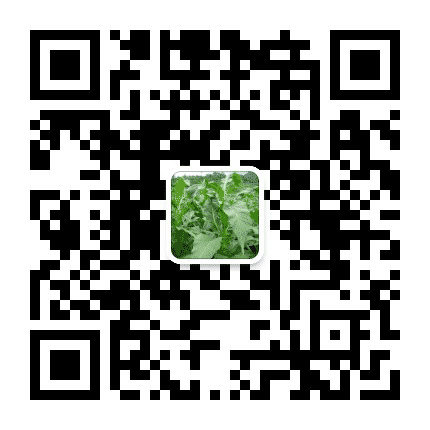 种云叶公众号二维码