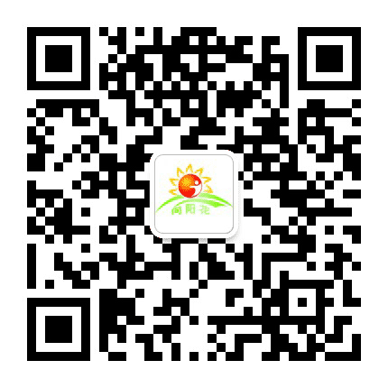 大庆巾帼向阳花志愿者协会公众号二维码