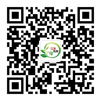 江津先锋公众号二维码