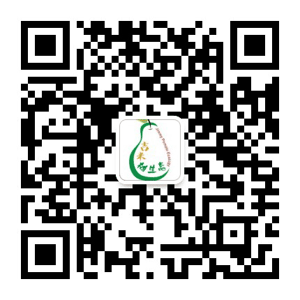 吉米柚生态公众号二维码