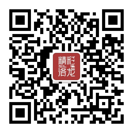 精彩洛龙公众号二维码