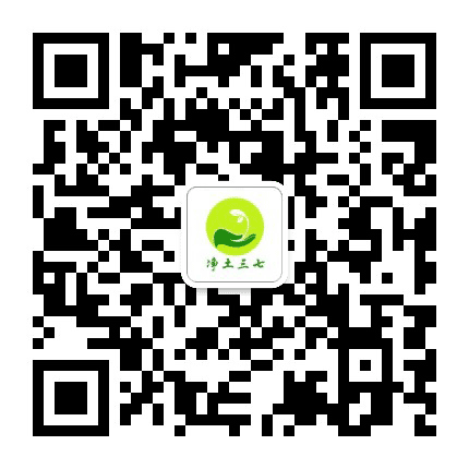 净土三七公众号二维码