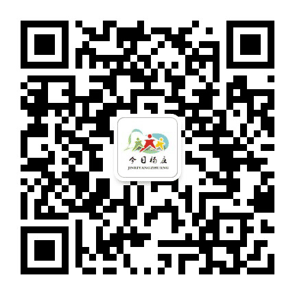今日杨庄公众号二维码