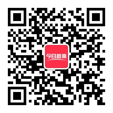 今日越南APP公众号二维码