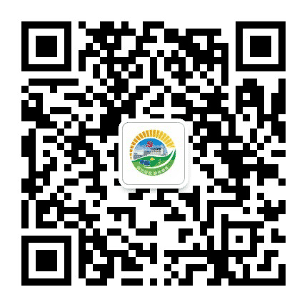 大唐金坛公司公众号二维码