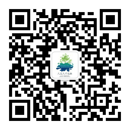 吉祥八五八公众号二维码
