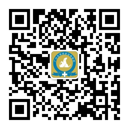 吉雅动物医院公众号二维码